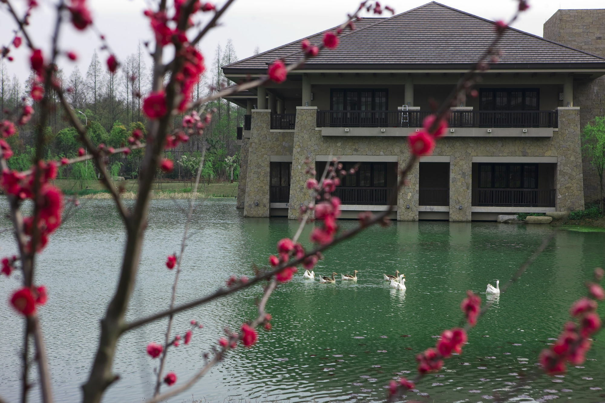 Narada Resort & Spa Liangzhu Hangzhou Luaran gambar